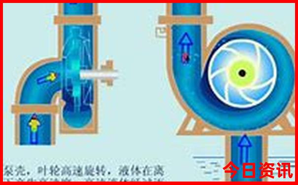 收藏2025发布最新深度免费全网资料全新免费大全-2025年新澳门开奖记录查询